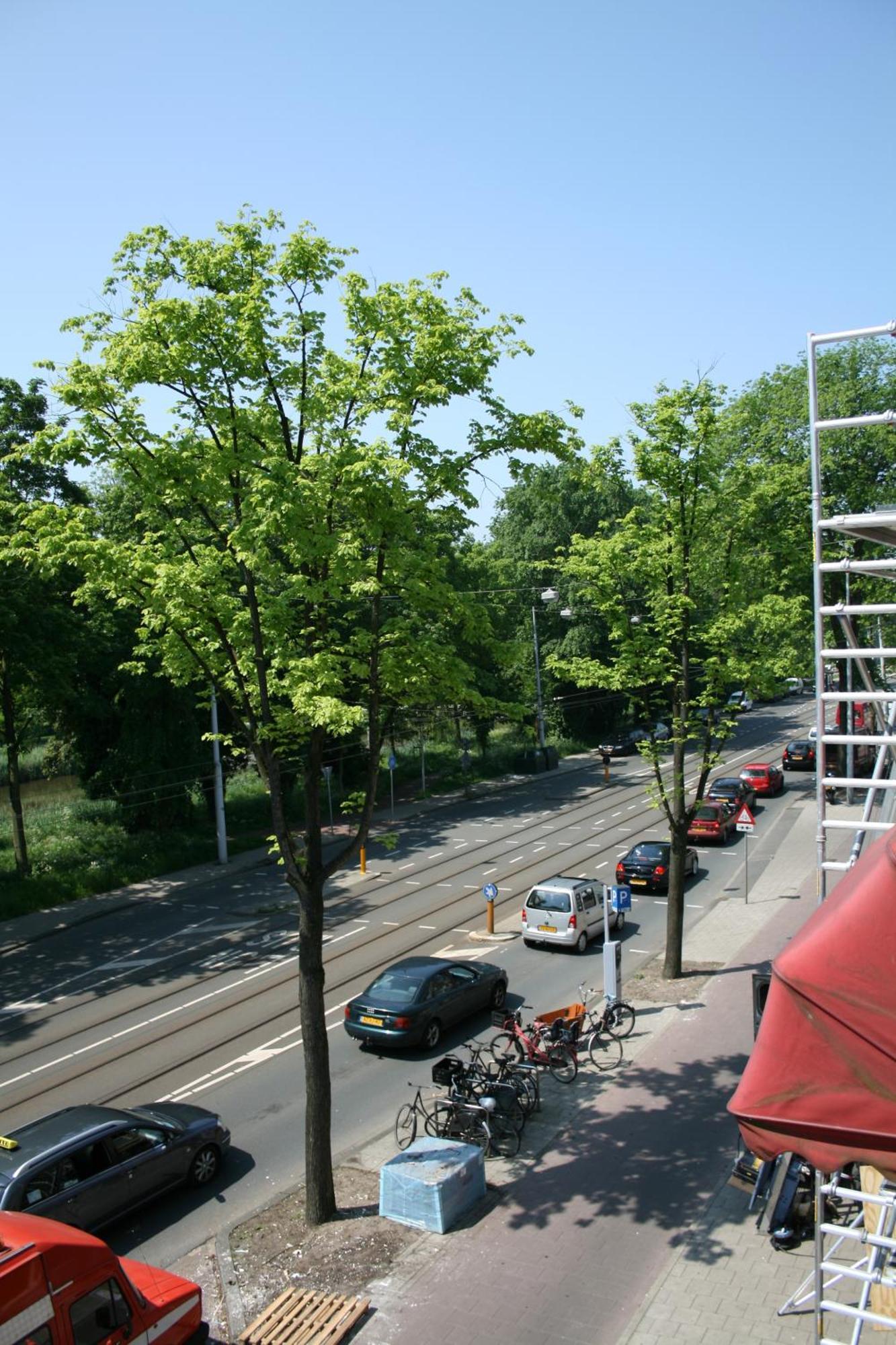 Frankendael Apartments Amsterdam Luaran gambar