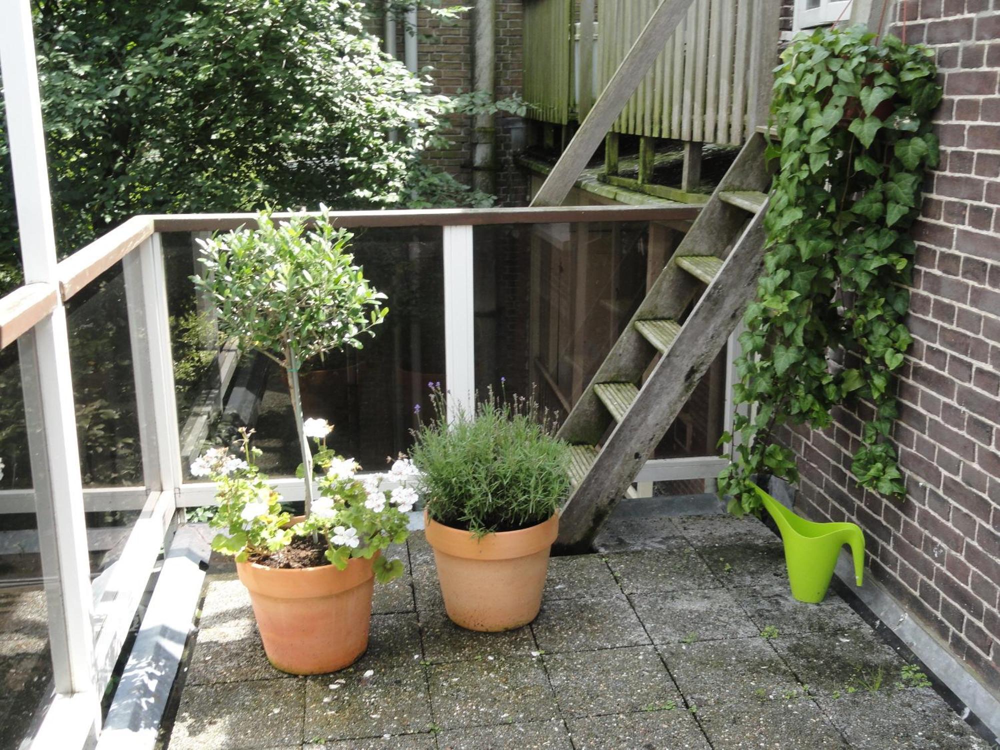 Frankendael Apartments Amsterdam Luaran gambar